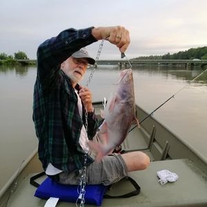 Meet your Posher, Hugh